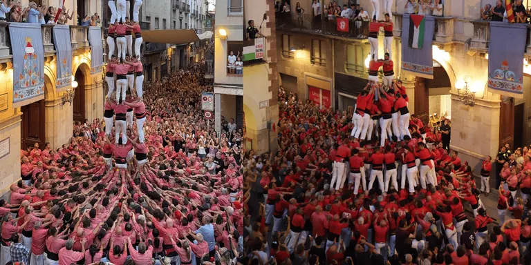 Quatre gammes extres a la diada de la Firagost