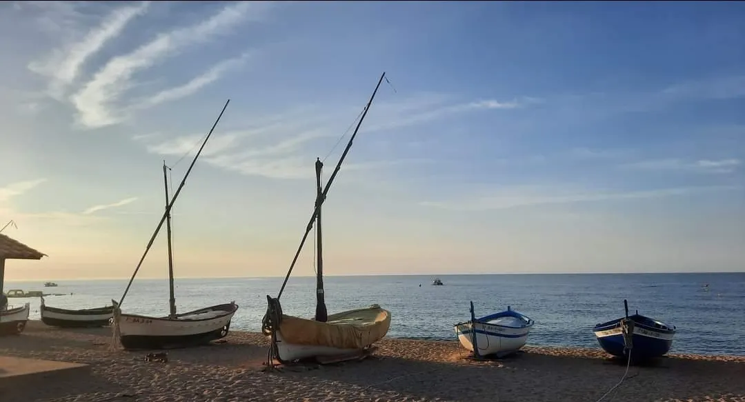 Dia de sol i calor intensa d'estiu
