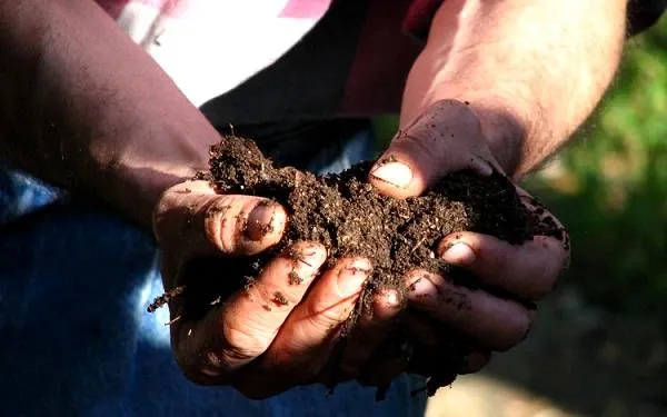 El departament d’Agricultura de la Generalitat ofereix a Altafulla la jornada tècnica ‘Millora de la fertilitat natural del sòl’