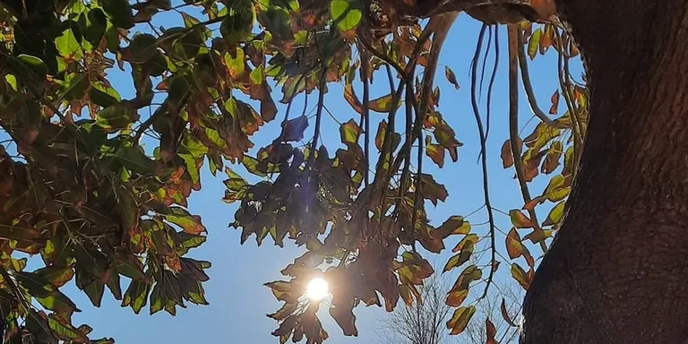 Segueix la bonança i l'ambient fred