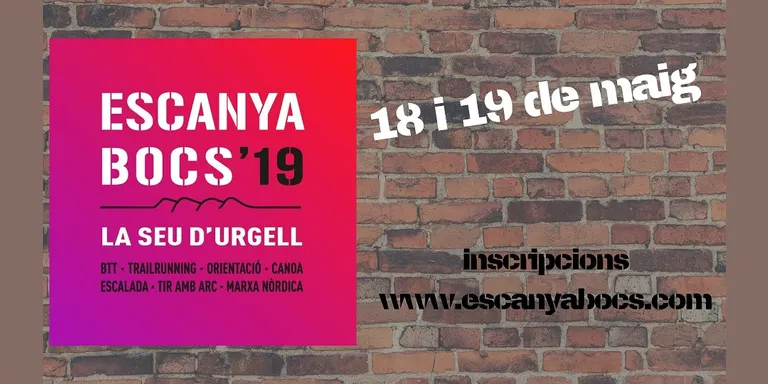 L'Escanyabocs 2019 rep més de 700 inscripcions individuals