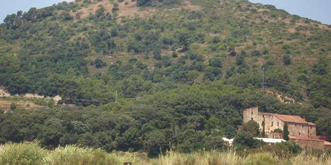 Passejada guiada al Montpalau