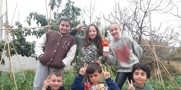 Escola Mediterrània i el seu hort escolar: 'Hem plantat: pèsols, faves, raves, enciams, col-i-flors, maduixes, cebes i bròquils'