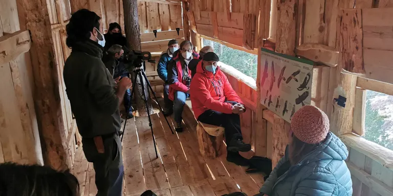 El Parc Natural de l'Alt Pirineu habilita a Embonui un nou aguait per observar aus carronyaires