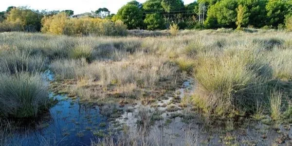 El GEPEC-EdC denuncia a la Fiscalia els vessaments d’aigua causats per les obres de la nova comissaria dels Mossos d’Esquadra a Torredembarra