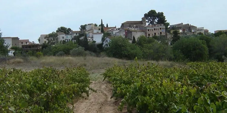Tres sortides de La Torre Camina aquesta setmana