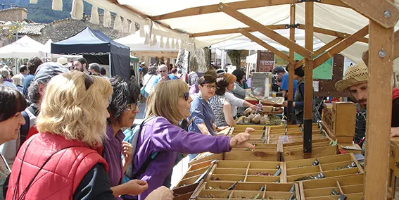 Èxit de públic a la 17a Festa i Fira de les Trementinaires