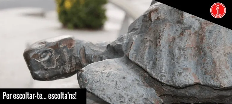 Les obres a la Plaça de la Tortuga: una plataforma única amb prioritat pels vianants