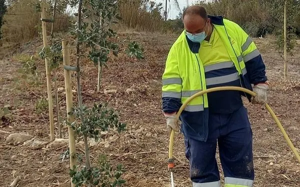 Foto: Diputació de Tarragona