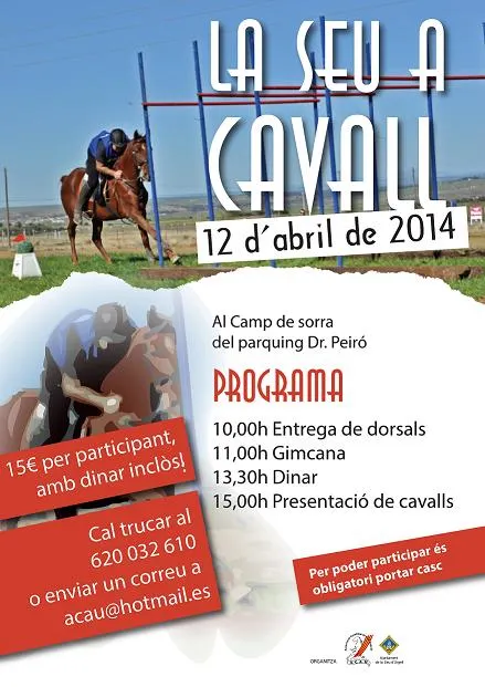 La Seu celebra la seva segona festa del cavall