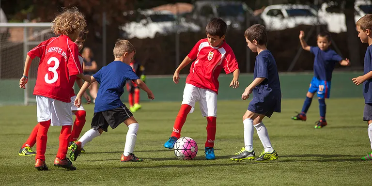 El Club Esportiu Arenys de Munt torna a la feina