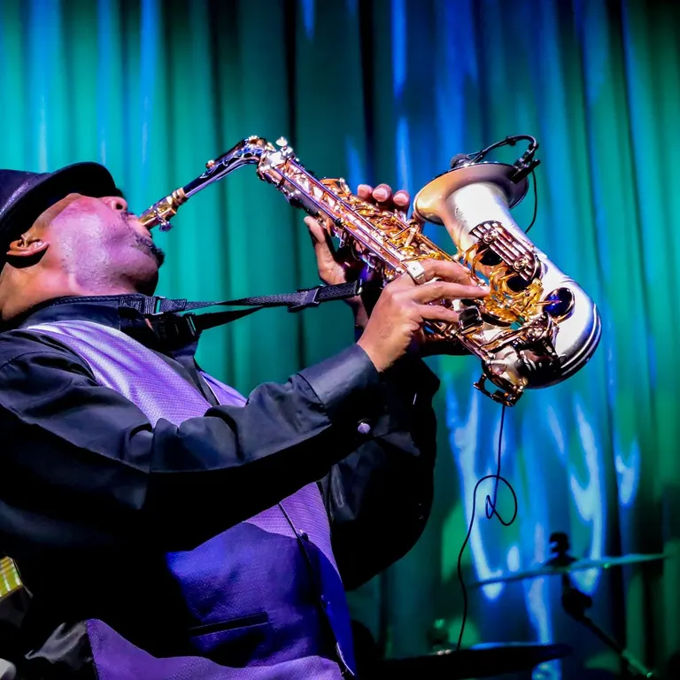 ELS MILLORS MÚSICS DE JAZZ I BLUES