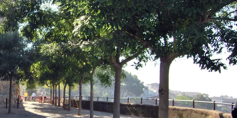 El Tribunal Suprem rebutja el recurs de la Diòcesi de Terrassa i determina que la plaça Pau Surell és, definitivament, de titularitat pública