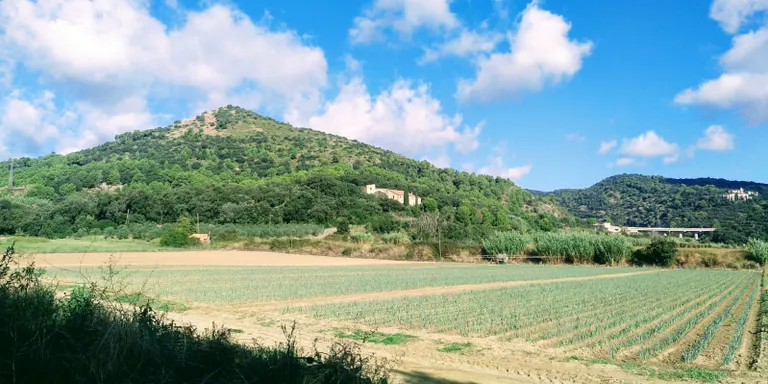 Temps estable amb vent de garbí