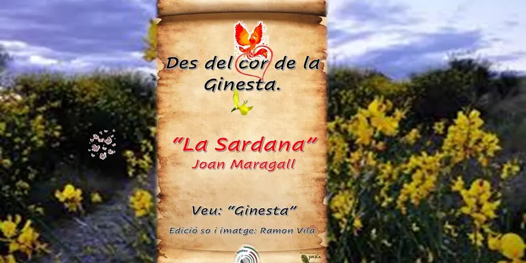 Des del cor de la “Ginesta”, ens enamorem de “La Sardana”. Un poema d’en Joan Maragall.