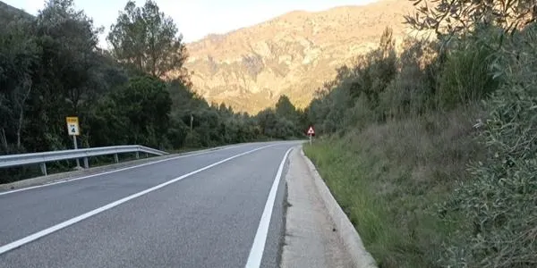 La Diputació de Tarragona retira gairebé 200 animals atropellats a la seva xarxa de carreteres (1.100km) al llarg de 2025