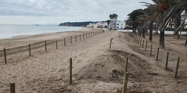 El cordó dunar de Voramar ja està perimetrat i a finals de mes se'n farà la plantació per fixar l'estructura