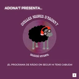 OVELLES NEGRES D'ADONA'T del 26/10/2024 - episode art