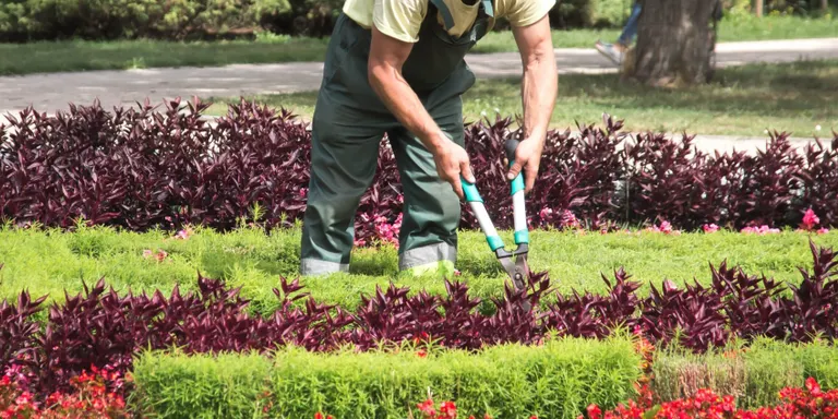 El Morell busca un oficial de jardineria