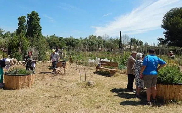 Foto: Hort de la Sínia