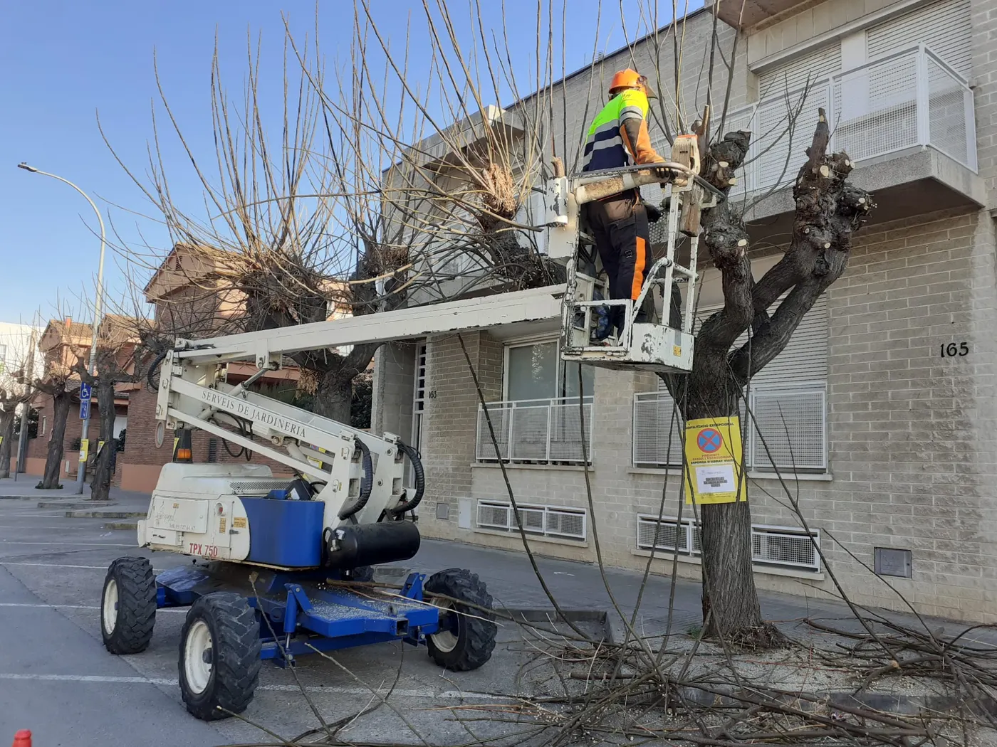 Comença la campanya anual de poda dels arbres de la via pública de Caldes