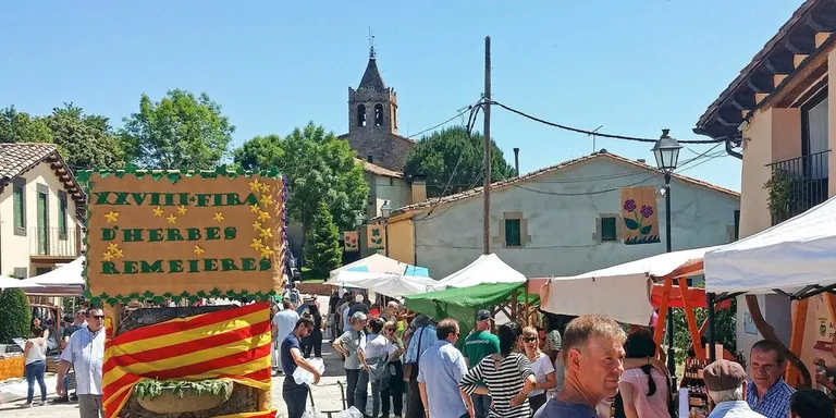 La divulgació botànica, les teràpies naturals i l'artesania centren la 30a Fira d'Herbes Remeieres de Vilanova de Sau