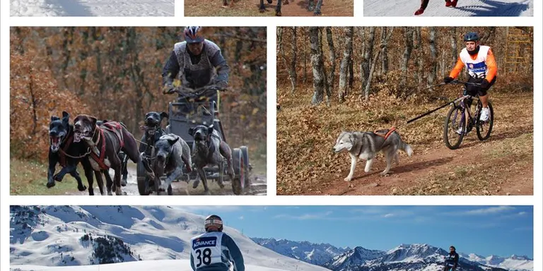 Sant Joan de l'Erm acollirà el Campionat de Catalunya de múixing