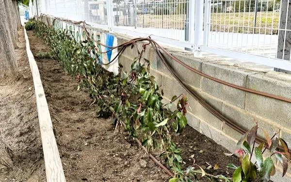 Foto: Ajuntament de Torredembarra