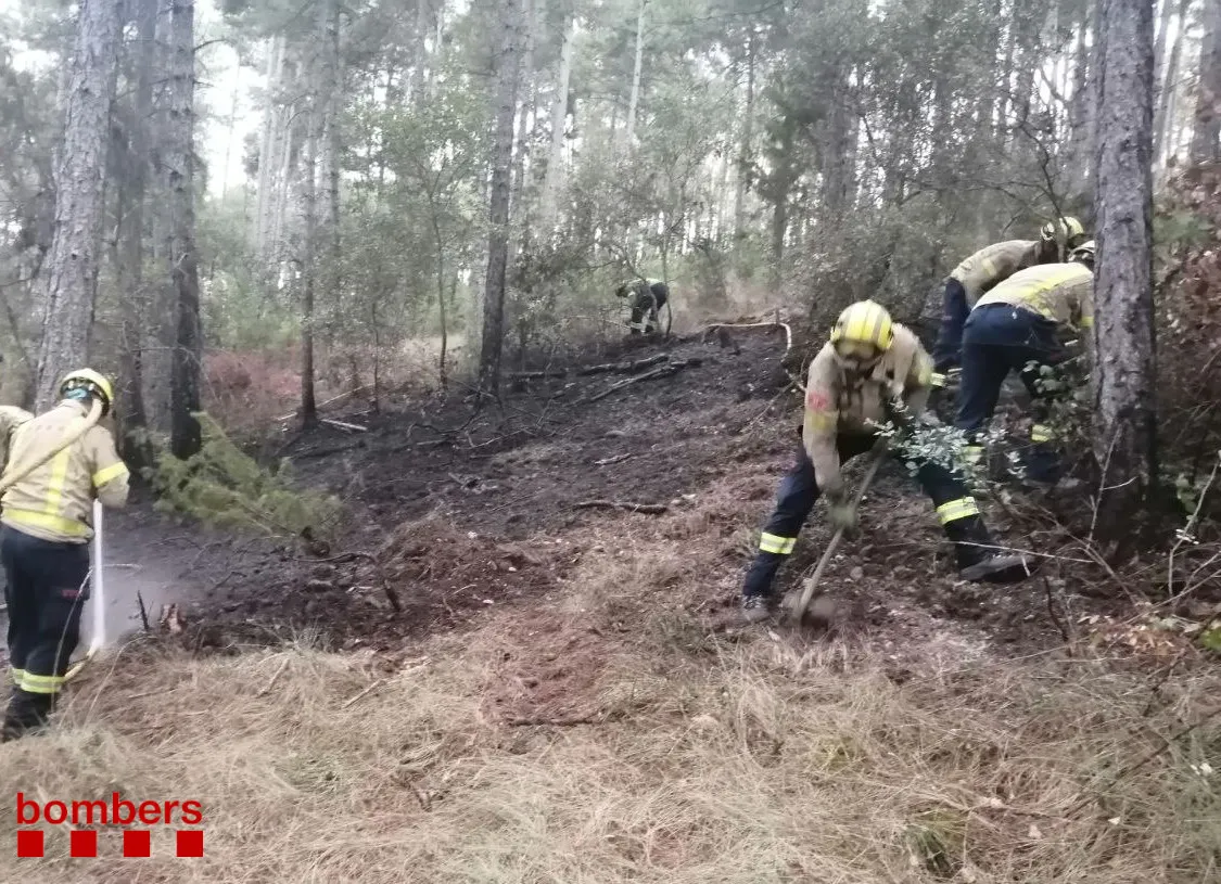 Petit incendi de vegetació ahir a Castellar de la Ribera