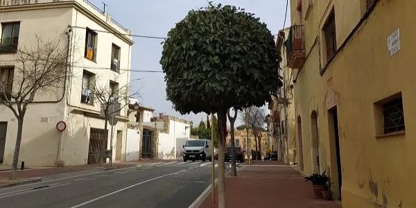 L'Avinguda Marquès de Tamarit d'Altafulla podria recuperar aviat el nom de carrer del Migdia