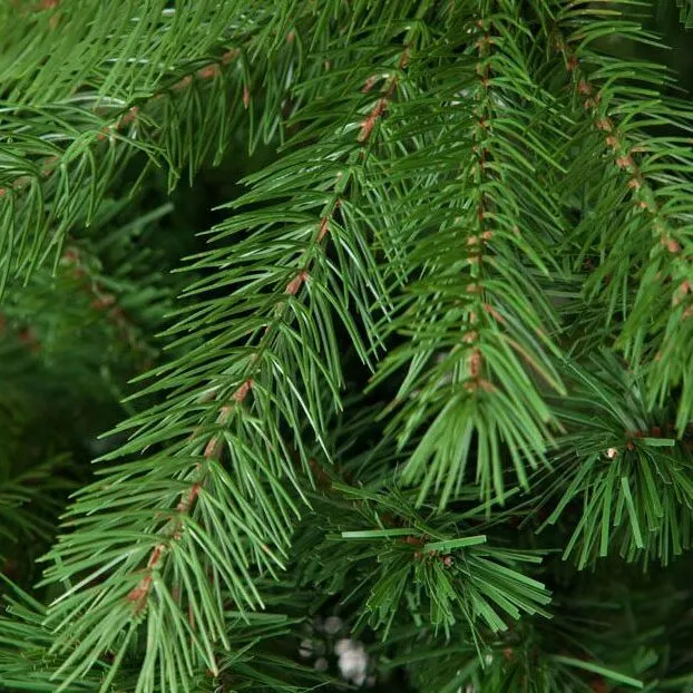 Reciclatge de l’arbre de Nadal