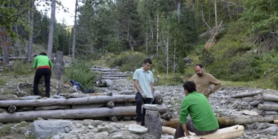 Aposta per la innovació en la producció i la gestió de la fusta al Pirineu