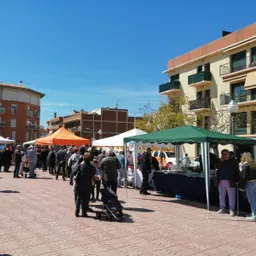 Especial Sant Jordi a la Plaça Mossèn Joaquim Boronat 2024 Part 2 - episode art