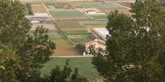 Els pagesos del Maresme fan una crida a defensar el sector: "Ens sentim maltractats"