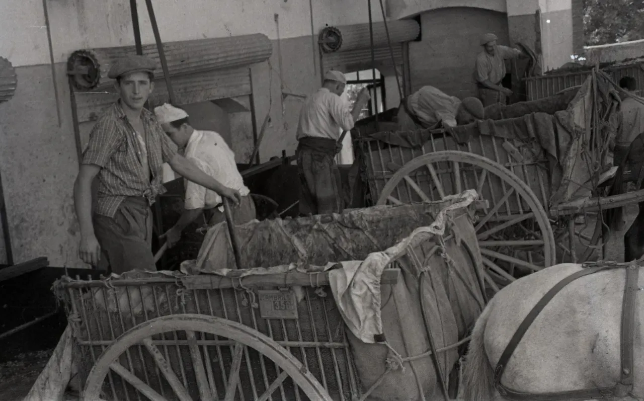 El Sindicat Agrícola de Cambrils, una entitat pionera fundada el 1902 per una vuitantena de socis