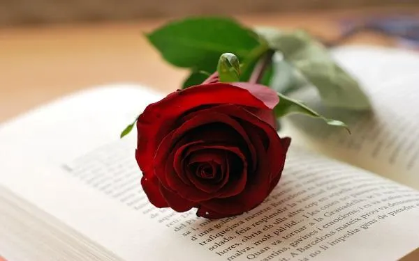 El primer número de la col·lecció de còmics ‘Il·lustres il·lustrats’ que promou l’Ajuntament d'Altafulla veurà la llum per Sant Jordi