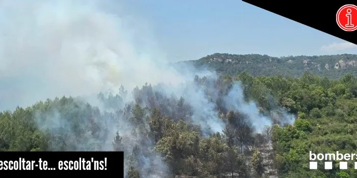 Incendi forestal a la zona dels cingles