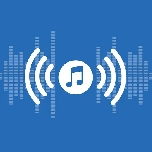 Informació i música