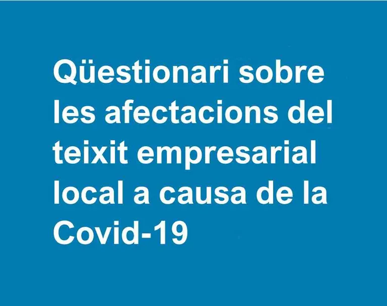 El Centre Innova recull les afectacions del teixit empresarial pinedenc arran de la Covid-19