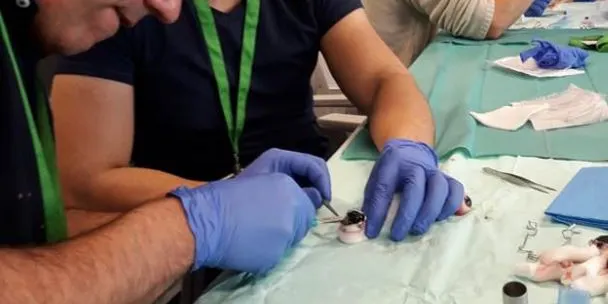 L'Hospital Sant Jaume de Calella rep l'autorització per ser un centre extractor de còrnies