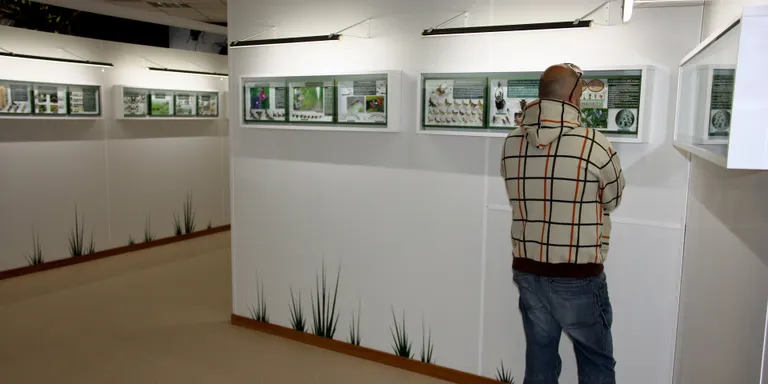 Sort perd la col·lecció del Museu de les Papallones