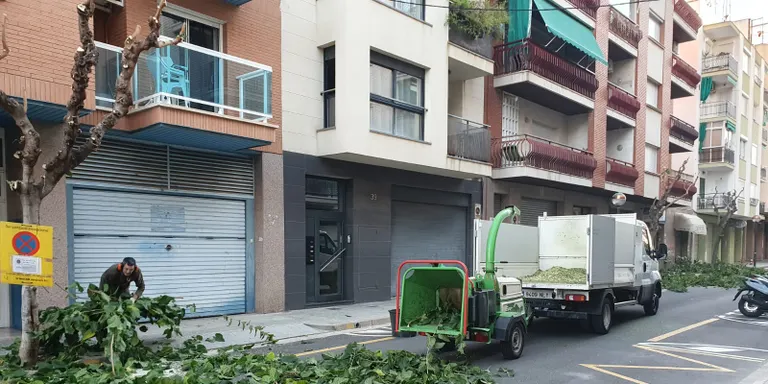 Esquerra Cambrils critica la tala d’arbres dels carrers Colom i València i demanarà l’informe que ho avala