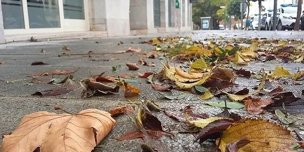 L’episodi de fort vent es mantindrà durant la jornada d’aquest dilluns