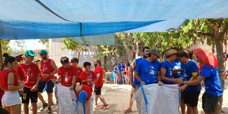 La festa de Nins i Nons registra un rècord de participació