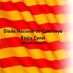 Diada Nacional de Catalunya del 11/9/2020 - episode art