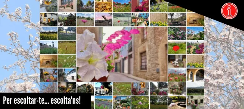 Vota les fotos pel calendari 2023