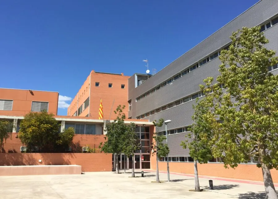 Valls obre una línia d’ajudes per a estudis postobligatoris