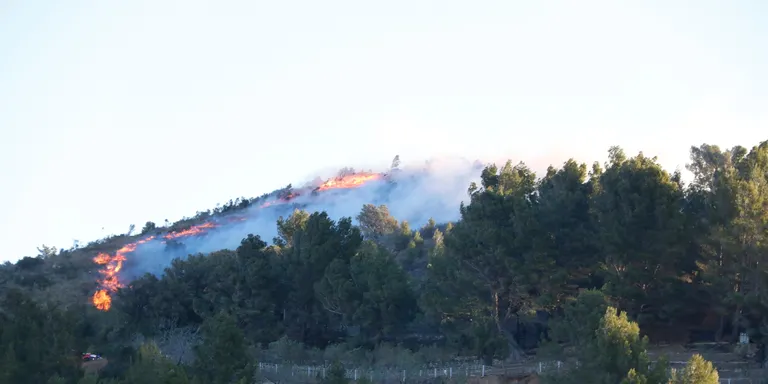 Els Agents Rurals apunten a una crema de restes vegetals mal apagada com a causa del foc de la Selva del Camp