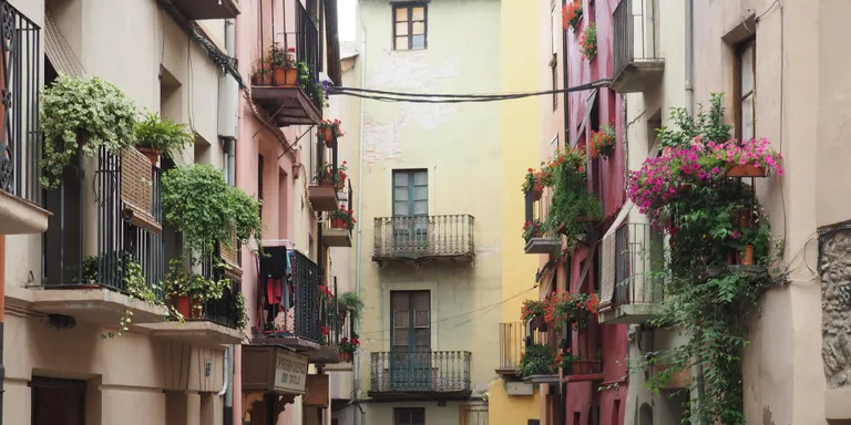 El carrer dels Canonges de la Seu se suma a Viles Florides