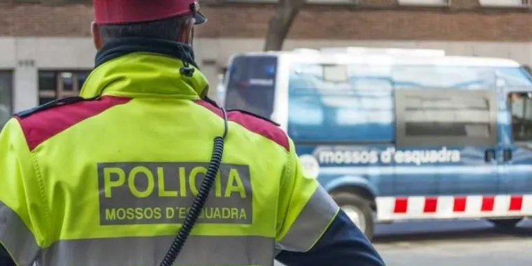 Lleu repunt dels delictes a Agramunt durant el 2016